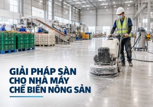 Giải pháp sàn cho nhà máy chế biến nông sản tại Gia Lai