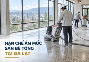 Hạn chế ẩm mốc cho sàn bê tông đánh bóng tại Đà Lạt